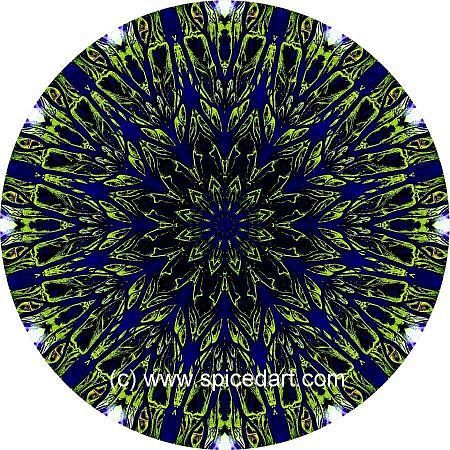 Art Mandalas - Amazon-Jau Park 01