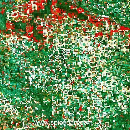 Kaleidoscope Art Print - Kansas Pivot Irrigation Source Image