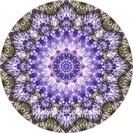 New Age Art - Namaqualand 01
