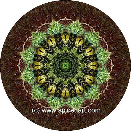 Mandala Art Print - Namib Desert-Massif 09