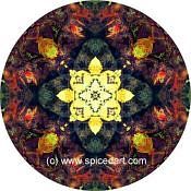 Mandala Art Print Australia-Fire Scars 03
