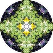 Mandala Art Print Lake Carnegie 06